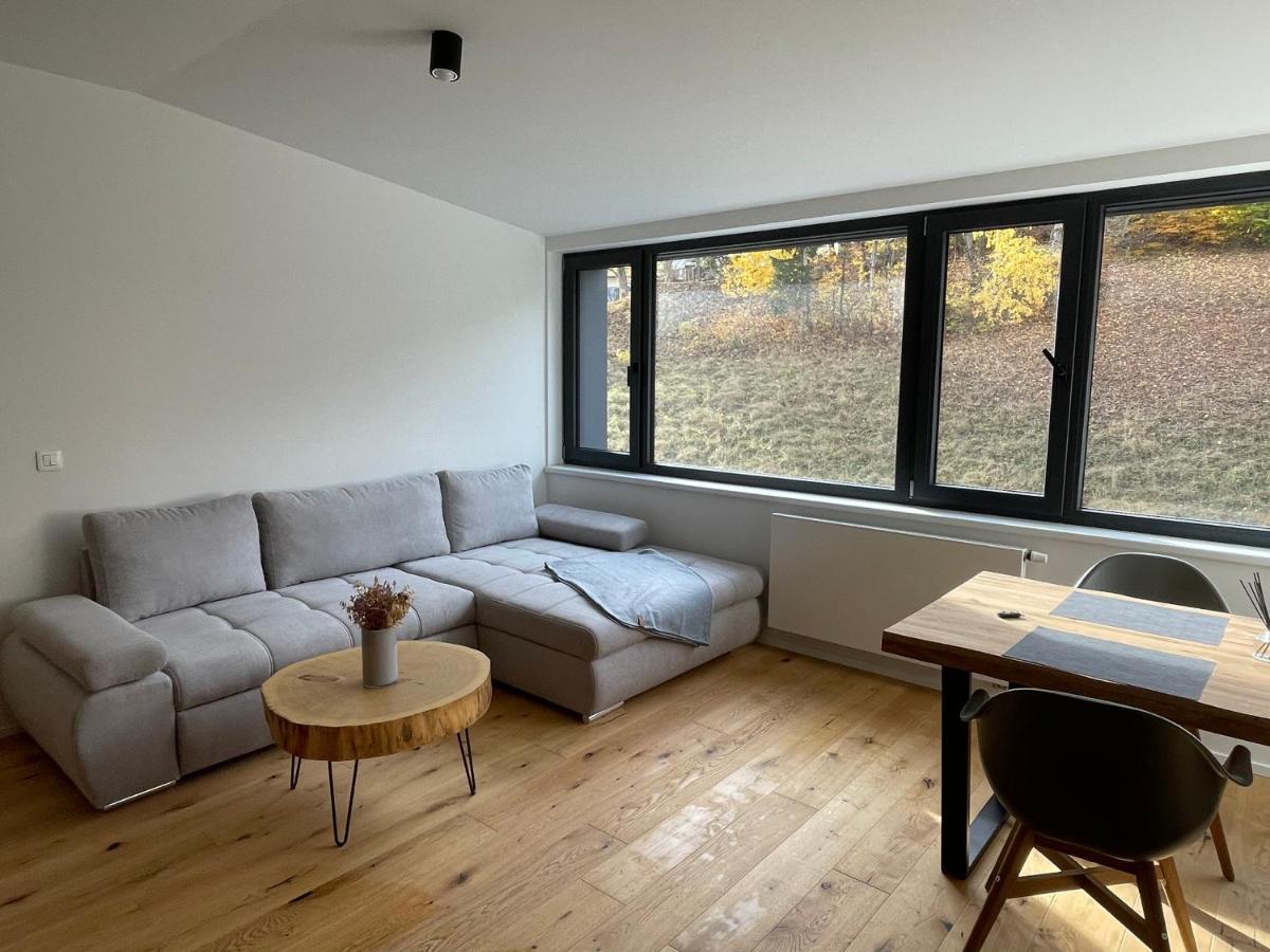 Ski&Bike Horsky Apartman 502 Janske Lazne Exterior photo